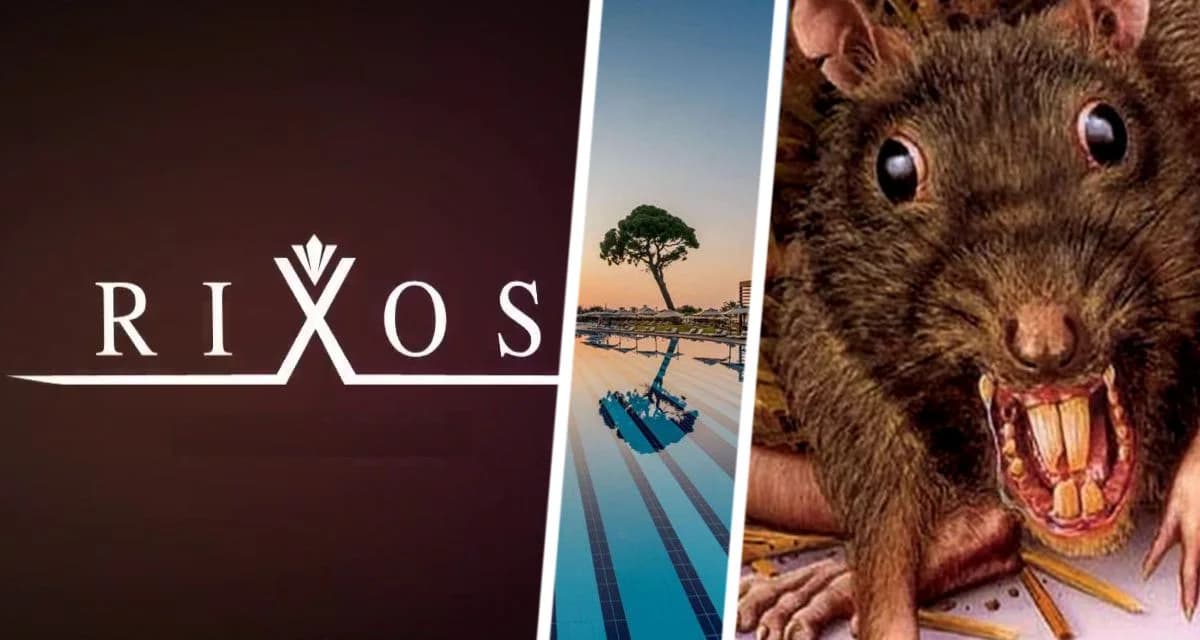Восстание в Rixos из-за крыс: невыносимые условия довели людей в Риксосе до массовых протестов Восстание в Rixos из-за крыс: невыносимые условия довели людей в Риксосе до массовых протестов