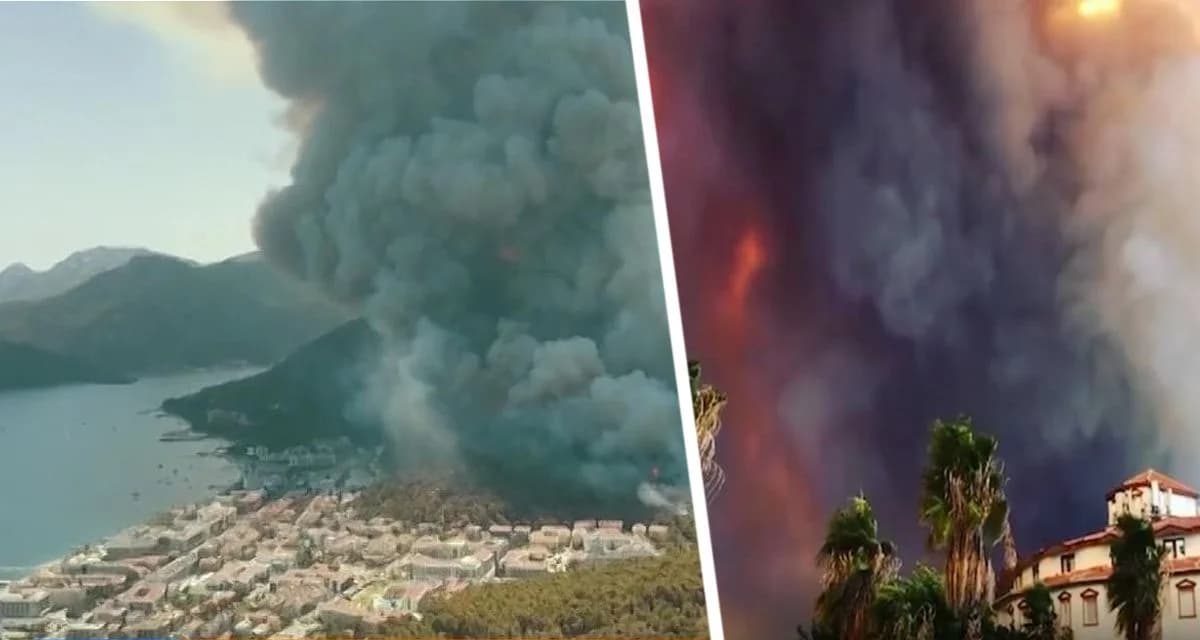 Пожары уничтожили целый курорт на популярном острове, туристы спасались бегством Пожары уничтожили целый курорт на популярном острове, туристы спасались бегством