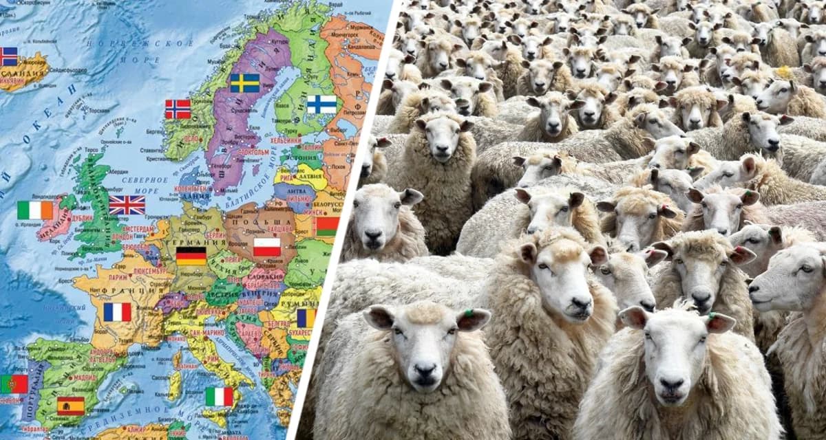 Мы чувствовали себя, как скот: турист сообщил о посещении популярных мест Европы Мы чувствовали себя, как скот: турист сообщил о посещении популярных мест Европы