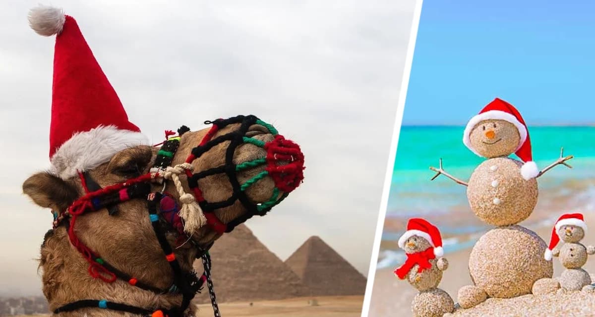 Отели Хургады переполнены на Рождество и Новый год: российские туристы поджимают немцев Отели Хургады переполнены на Рождество и Новый год: российские туристы поджимают немцев