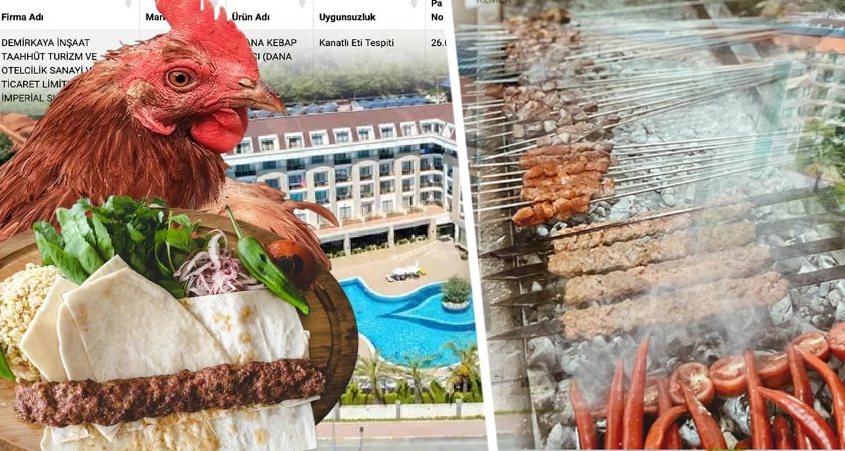 В Турции разгорелся скандал: туристов кормили фальсифицированным мясом в 5-звездочном отеле Анталии В Турции разгорелся скандал: туристов кормили фальсифицированным мясом в 5-звездочном отеле Анталии