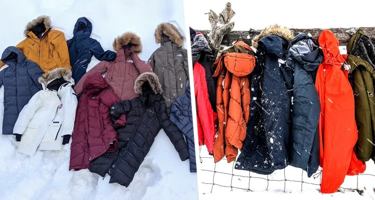 Наблюдается необычное явление: туристы начали массово выбрасывать в местах проживания пуховики стоимостью по 100 тысяч рублей Наблюдается необычное явление: туристы начали массово выбрасывать в местах проживания пуховики стоимостью по 100 тысяч рублей