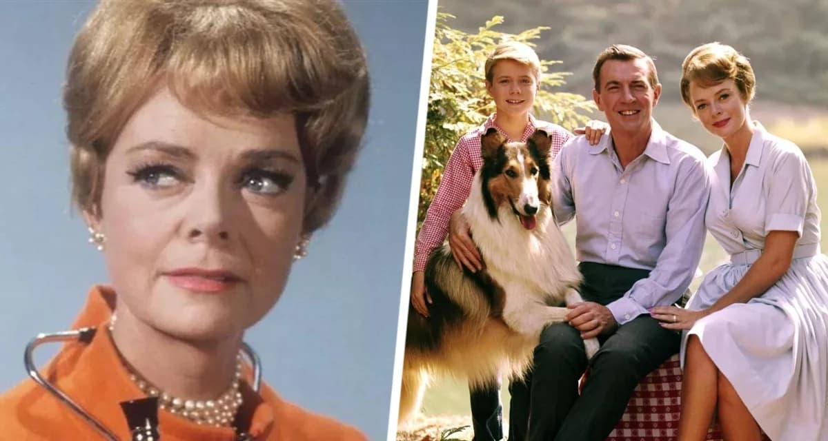 Легендарная актриса из сериалов «Лесси» и «Затерянные в космосе» умерла в возрасте 100 лет Легендарная актриса из сериалов «Лесси» и «Затерянные в космосе» умерла в возрасте 100 лет