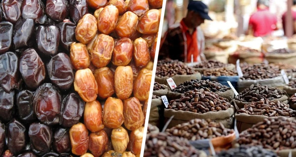 Отдыхаем как шейхи в Дубае: Путешествие в мир фиников и сладостей на рынке Дейра Отдыхаем как шейхи в Дубае: Путешествие в мир фиников и сладостей на рынке Дейра