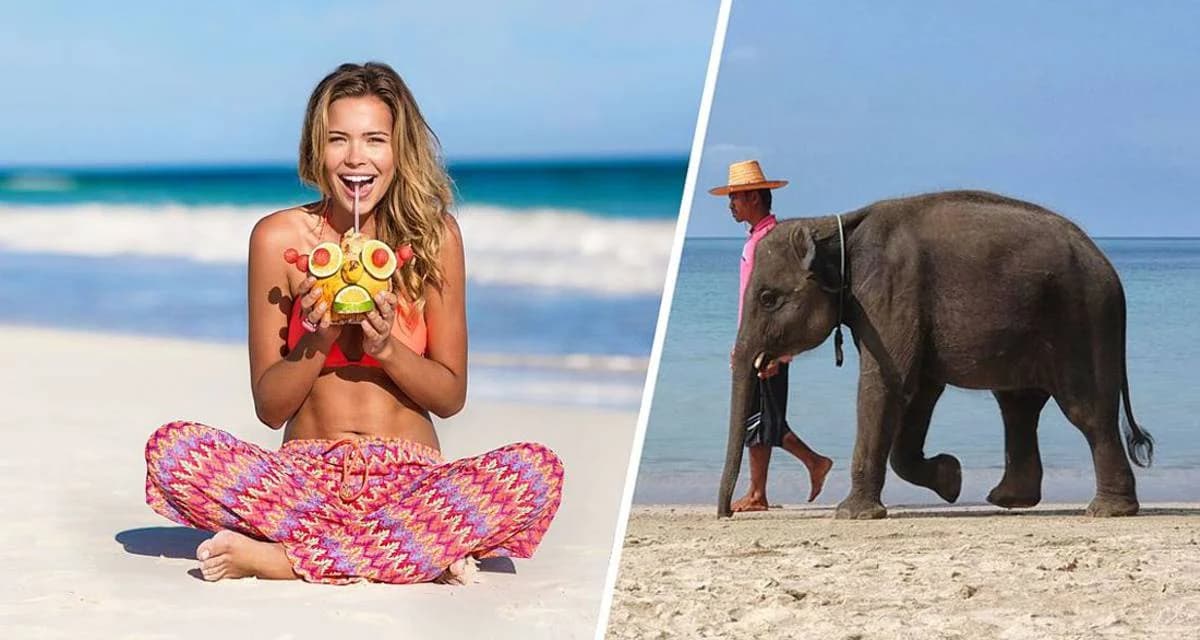 Гоа в ноябре: солнце, специи и скидки ждут россиян Гоа в ноябре: солнце, специи и скидки ждут россиян