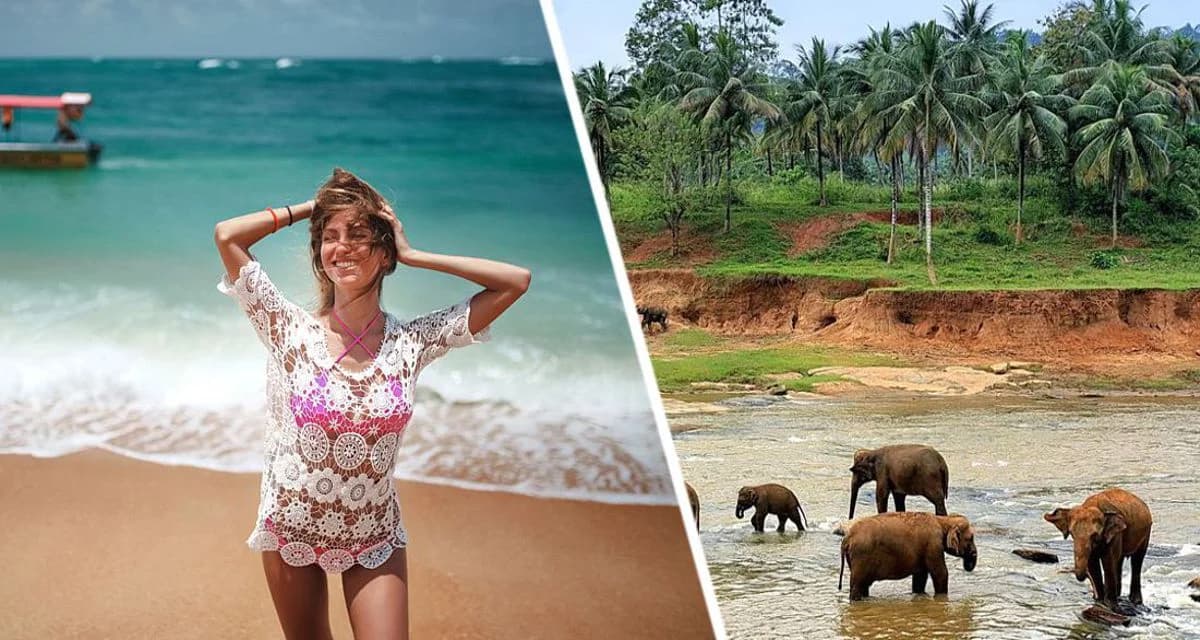 Ноябрьская сказка на Шри-Ланке: поймай волну лета, когда в России осень Ноябрьская сказка на Шри-Ланке: поймай волну лета, когда в России осень