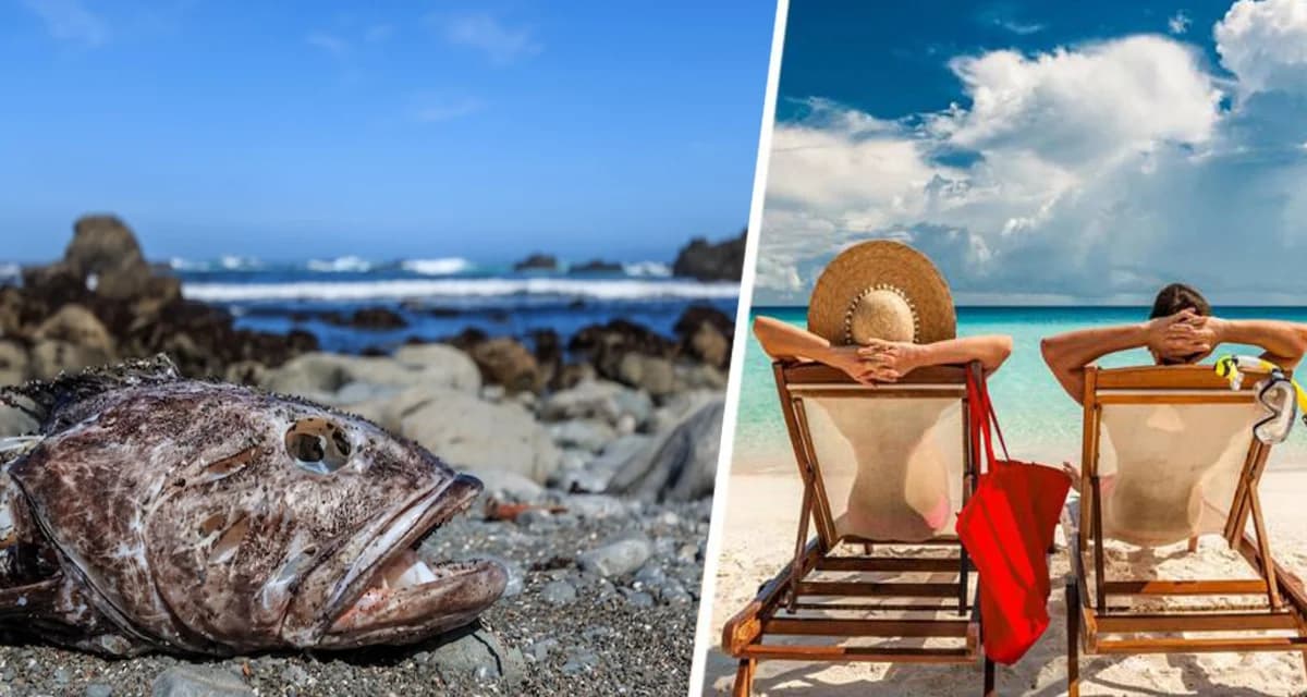 Рыбалка круглый год: стали известны семь лучших мест для рыбалки в России Рыбалка круглый год: стали известны семь лучших мест для рыбалки в России