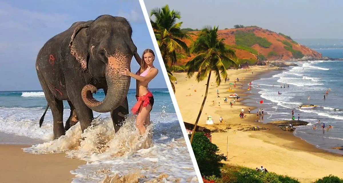 Курорт, куда полетели российские чартеры, открывает сезон с оптимизмом и туристическим подъёмом Курорт, куда полетели российские чартеры, открывает сезон с оптимизмом и туристическим подъёмом