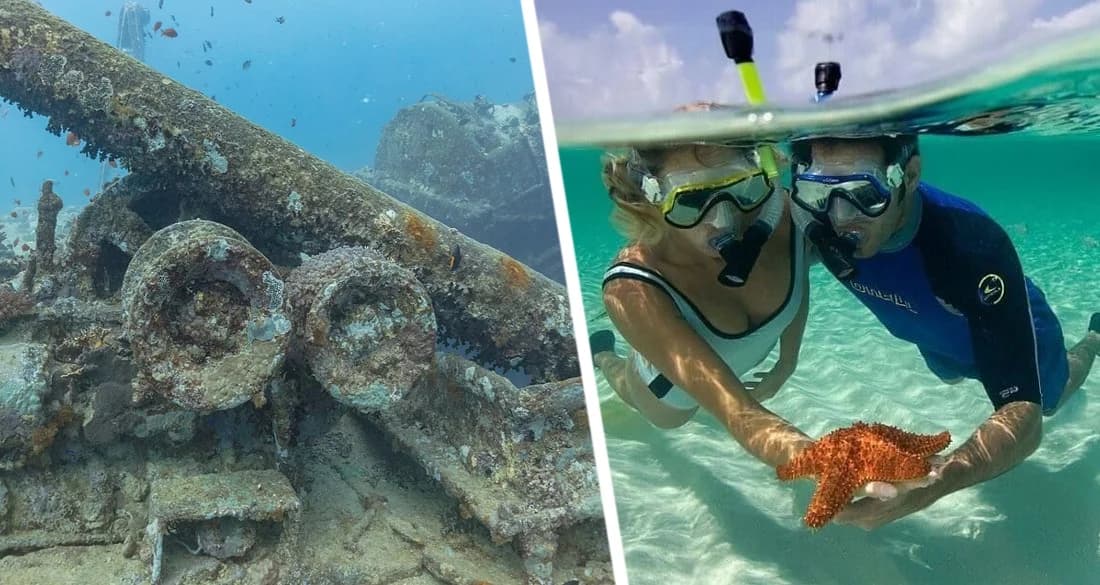 Гуляем по Шарм-эль-Шейху: Загадки затонувшего корабля Тистельгорм Гуляем по Шарм-эль-Шейху: Загадки затонувшего корабля Тистельгорм