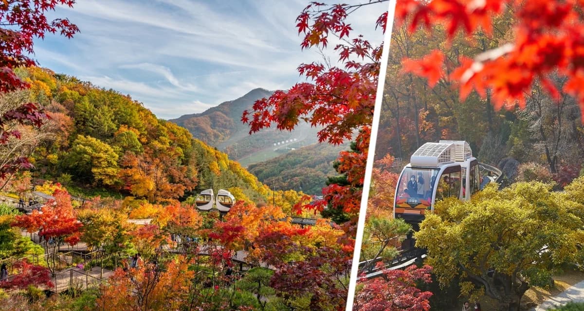 Кимчи, клёны и комфорт: гид по ноябрьскому Сеулу для российских туристов Кимчи, клёны и комфорт: гид по ноябрьскому Сеулу для российских туристов