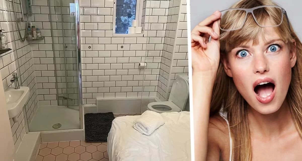 Назван 5-звездочный отель в Турции, где кишат крысы, а туристов косит ротавирус Назван 5-звездочный отель в Турции, где кишат крысы, а туристов косит ротавирус