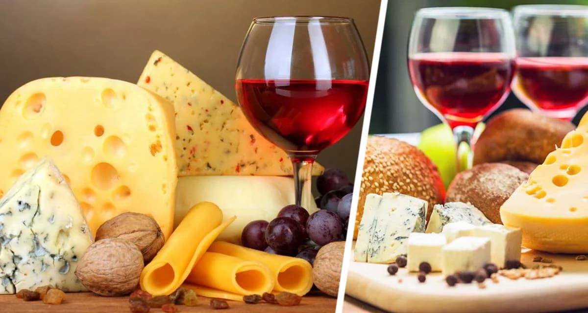 Сельский туризм получит винный привкус: российские туристы массово поедут пить вино Сельский туризм получит винный привкус: российские туристы массово поедут пить вино