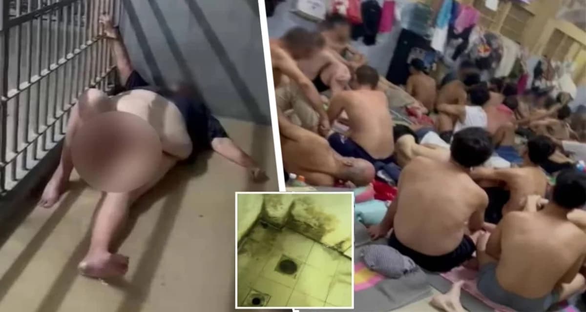 Поездка мечты в Таиланд для туриста превратилась из рая в тюремный ад, когда он случайно повредил табличку Поездка мечты в Таиланд для туриста превратилась из рая в тюремный ад, когда он случайно повредил табличку