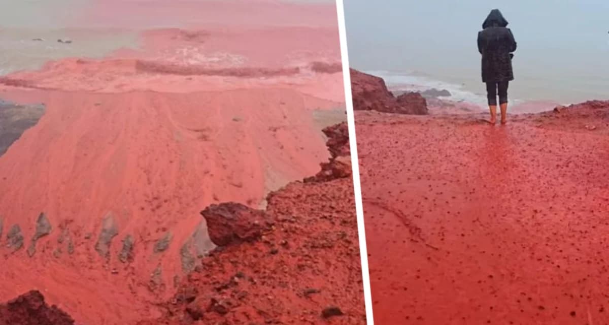 Кровавый дождь окрасил пляж в красный цвет, повергнув туристов в ужас. Что стоит за этим явлением? Кровавый дождь окрасил пляж в красный цвет, повергнув туристов в ужас. Что стоит за этим явлением?