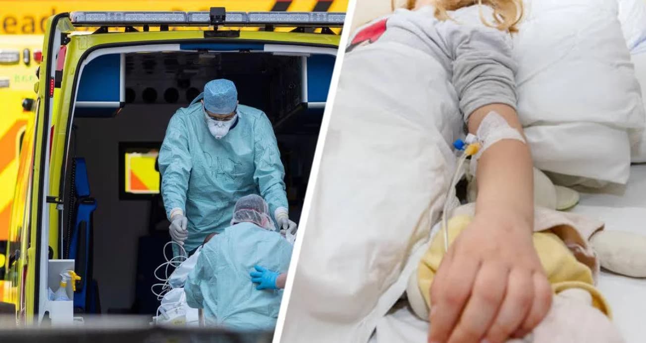 Российской туристке, искусанной акулой на Мальдивах, отказались вернуть деньги за экскурсию Российской туристке, искусанной акулой на Мальдивах, отказались вернуть деньги за экскурсию