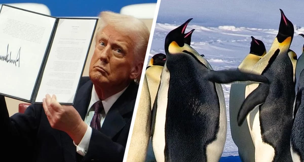 Трамп наложил торговые пошлины на острова, где нет людей и живут одни пингвины Трамп наложил торговые пошлины на острова, где нет людей и живут одни пингвины