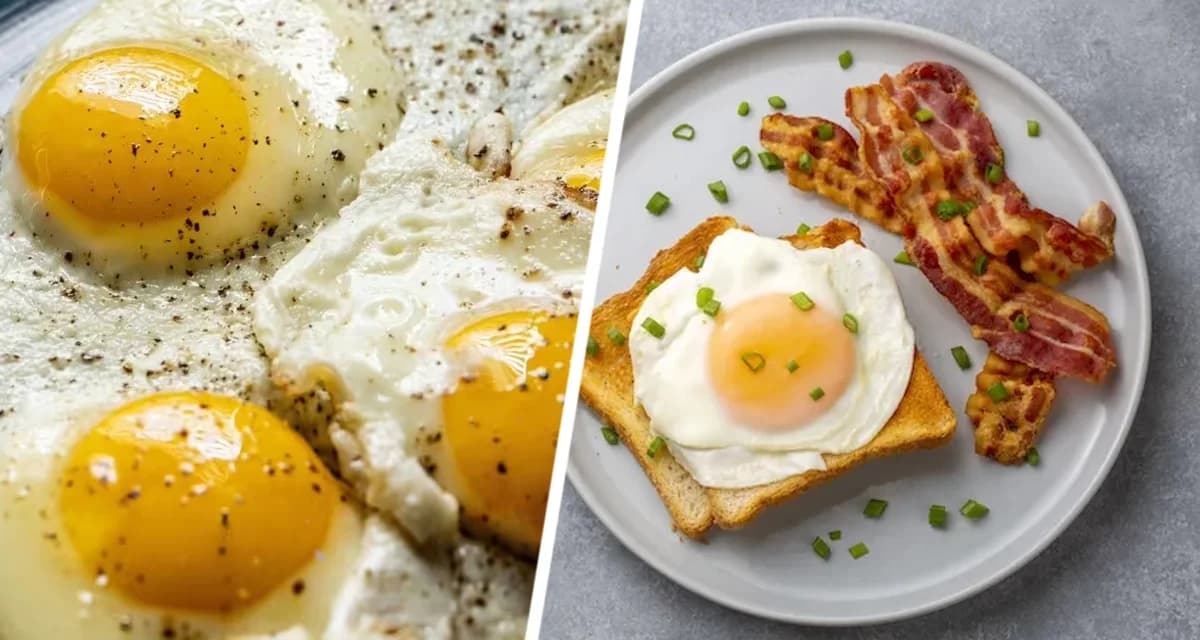 Яичница за 30 секунд без сковороды - и никаких брызг: секретный лайфхак Яичница за 30 секунд без сковороды - и никаких брызг: секретный лайфхак