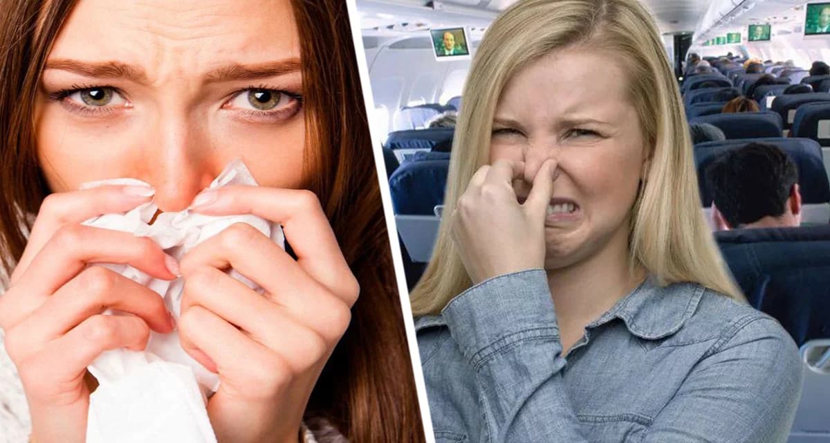 Стойкий запах чьих-то грязных носков в самолете: как стюардессы борются с вонючими ногами? Стойкий запах чьих-то грязных носков в самолете: как стюардессы борются с вонючими ногами?