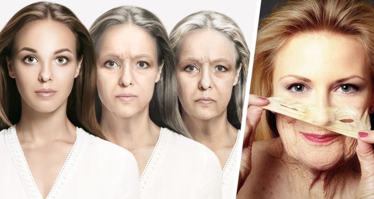 Сенсация из Гарварда: ученые обнаружили дешевую добавку, которая замедляет старение Сенсация из Гарварда: ученые обнаружили дешевую добавку, которая замедляет старение