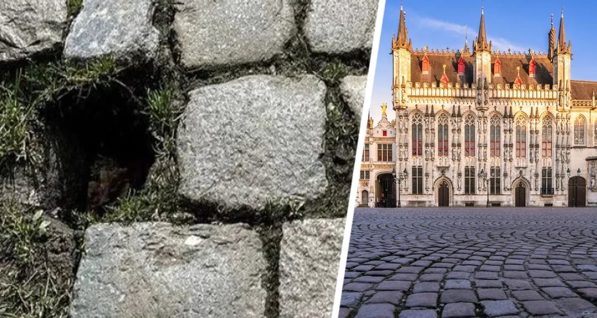 Туристы оборзели и начали массово красть булыжники Туристы оборзели и начали массово красть булыжники