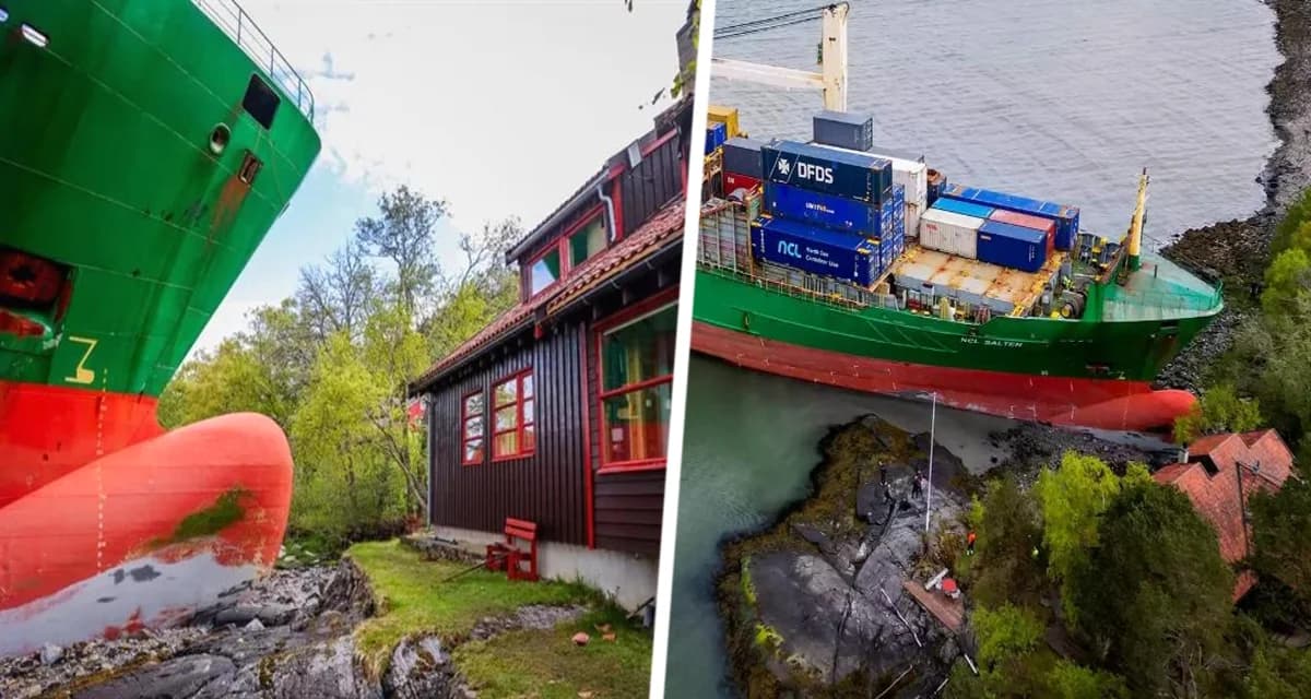 Капитан грузового судна, врезавшегося в чужой двор на берегу, заснул за штурвалом Капитан грузового судна, врезавшегося в чужой двор на берегу, заснул за штурвалом