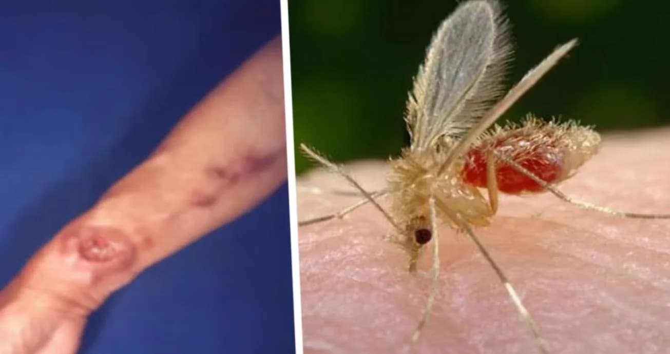 Паника на Мальдивах: российские туристы начали массово закупать репелленты Паника на Мальдивах: российские туристы начали массово закупать репелленты