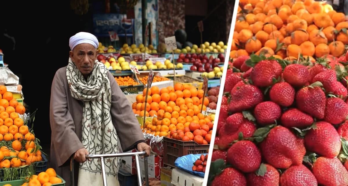 Фруктовый рай Египта: ТОП-11 вкусов лета, которые должен попробовать каждый турист Фруктовый рай Египта: ТОП-11 вкусов лета, которые должен попробовать каждый турист