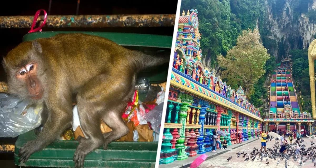 «Самая грязная туристическая достопримечательность в мире» — это захламлённое мусором место с ужасным запахом «Самая грязная туристическая достопримечательность в мире» — это захламлённое мусором место с ужасным запахом