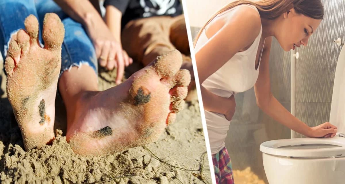 Отравление, поражение органов и рак: к чему может привести купание в мазуте на пляжах Анапы Отравление, поражение органов и рак: к чему может привести купание в мазуте на пляжах Анапы