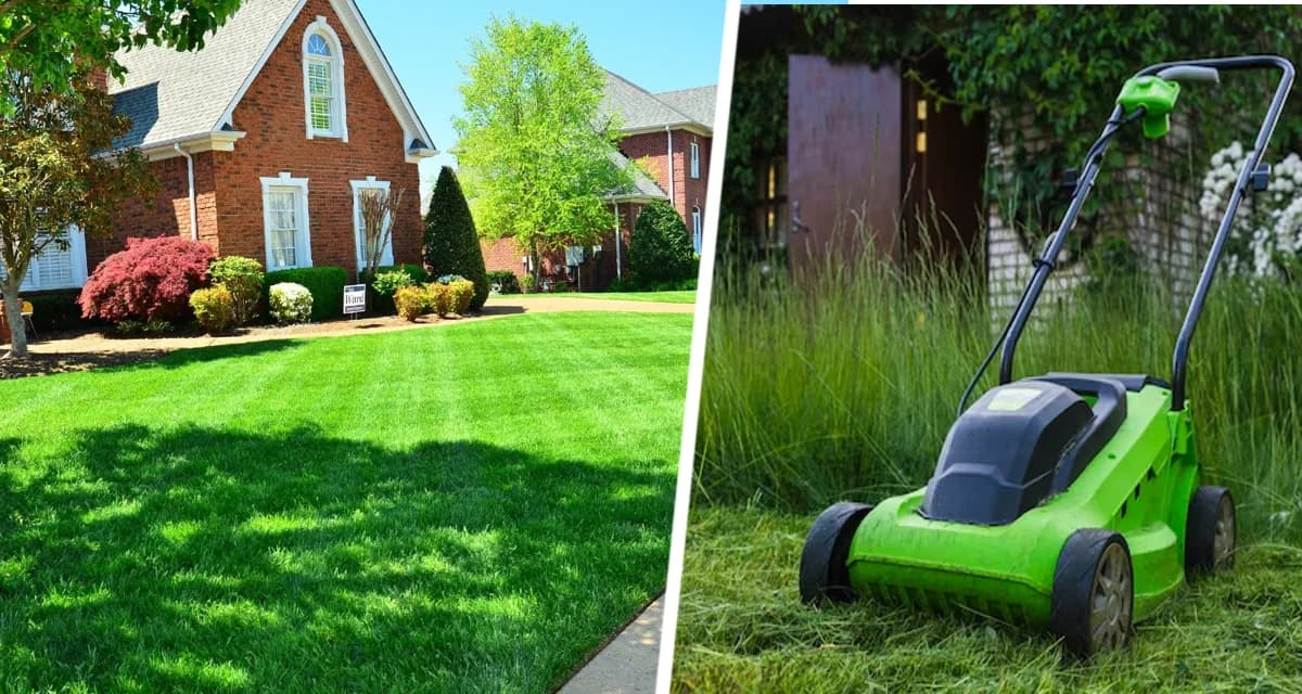 Следуй 3 простым правилам и твой газон останется пышным и зелёным даже в засуху Следуй 3 простым правилам и твой газон останется пышным и зелёным даже в засуху