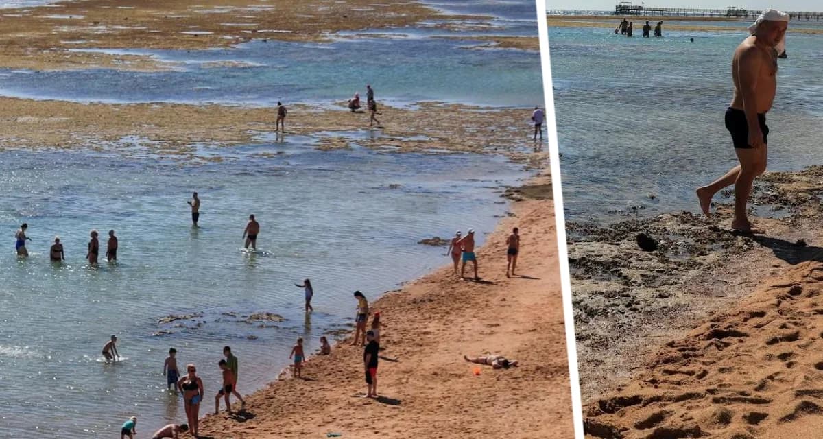 Туристы в Хургаде остались без моря: вода ушла, все бродят по камням и болоту Туристы в Хургаде остались без моря: вода ушла, все бродят по камням и болоту