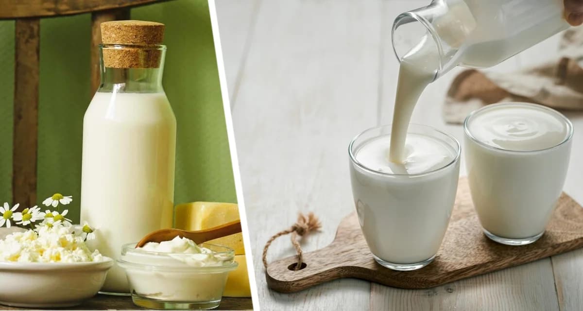 Кислое «золото»: 10 способов превратить прокисшее молоко в кулинарный шедевр, а не в мусорное ведро Кислое «золото»: 10 способов превратить прокисшее молоко в кулинарный шедевр, а не в мусорное ведро