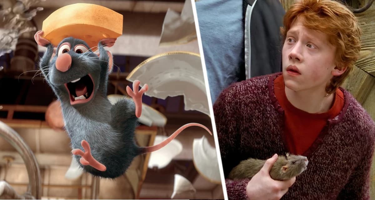 Мышиный лепет превратился в человеческую речь?! Ученые внедрили ген человеческого языка в мышей, и они заговорили Мышиный лепет превратился в человеческую речь?! Ученые внедрили ген человеческого языка в мышей, и они заговорили