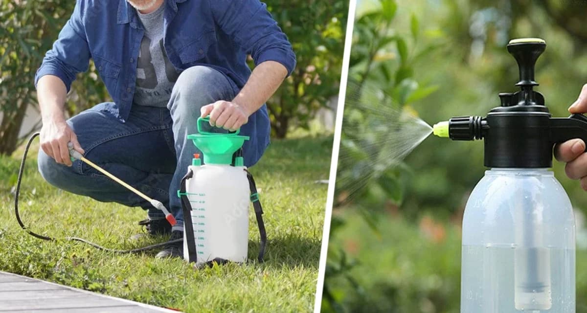 «Белокрылка в нокауте»: секретный раствор соседа – и вредители разбегаются в панике! 3 верных способа спасти ваш урожай «Белокрылка в нокауте»: секретный раствор соседа – и вредители разбегаются в панике! 3 верных способа спасти ваш урожай