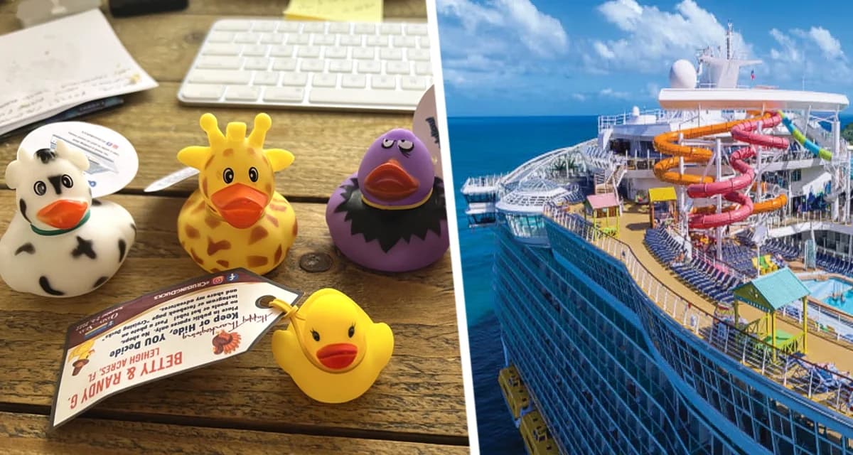 Круизная компания объявила о запрете на провоз уток: «Утиная охота» на лайнерах Royal Caribbean теперь под запретом Круизная компания объявила о запрете на провоз уток: «Утиная охота» на лайнерах Royal Caribbean теперь под запретом