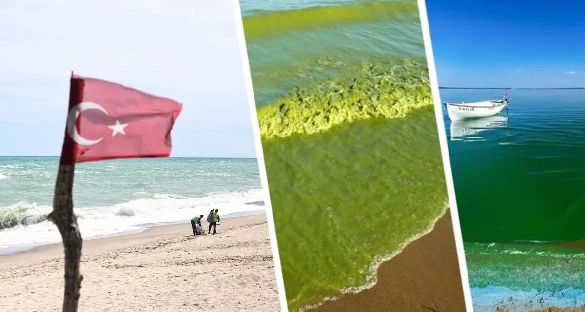 Зуд и жжение в Анталии: российские туристы сообщают о проблемах с кожей после купания Зуд и жжение в Анталии: российские туристы сообщают о проблемах с кожей после купания