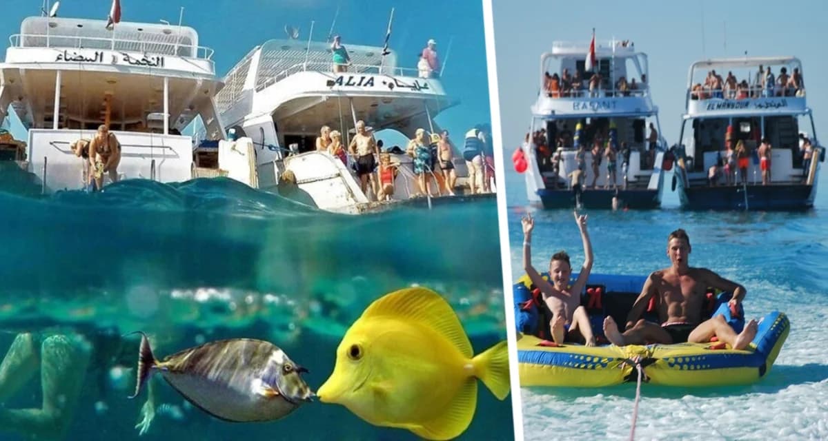 От Хургады до Дахаба: туристам рассказали про лучшие места для снорклинга на Красном море От Хургады до Дахаба: туристам рассказали про лучшие места для снорклинга на Красном море