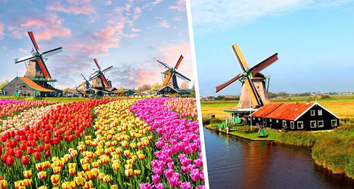 Знаменитая голландская деревня ветряных мельниц пошла по пути Венеции и вводит входные билеты для ТикТокеров Знаменитая голландская деревня ветряных мельниц пошла по пути Венеции и вводит входные билеты для ТикТокеров