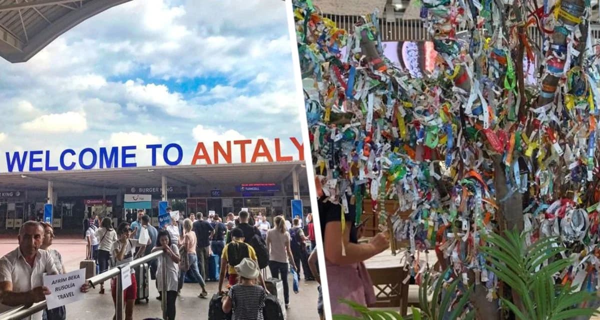 Прощай, all inclusive!: в аэропорту Антальи выросло «браслетное дерево» от российских туристов Прощай, all inclusive!: в аэропорту Антальи выросло «браслетное дерево» от российских туристов