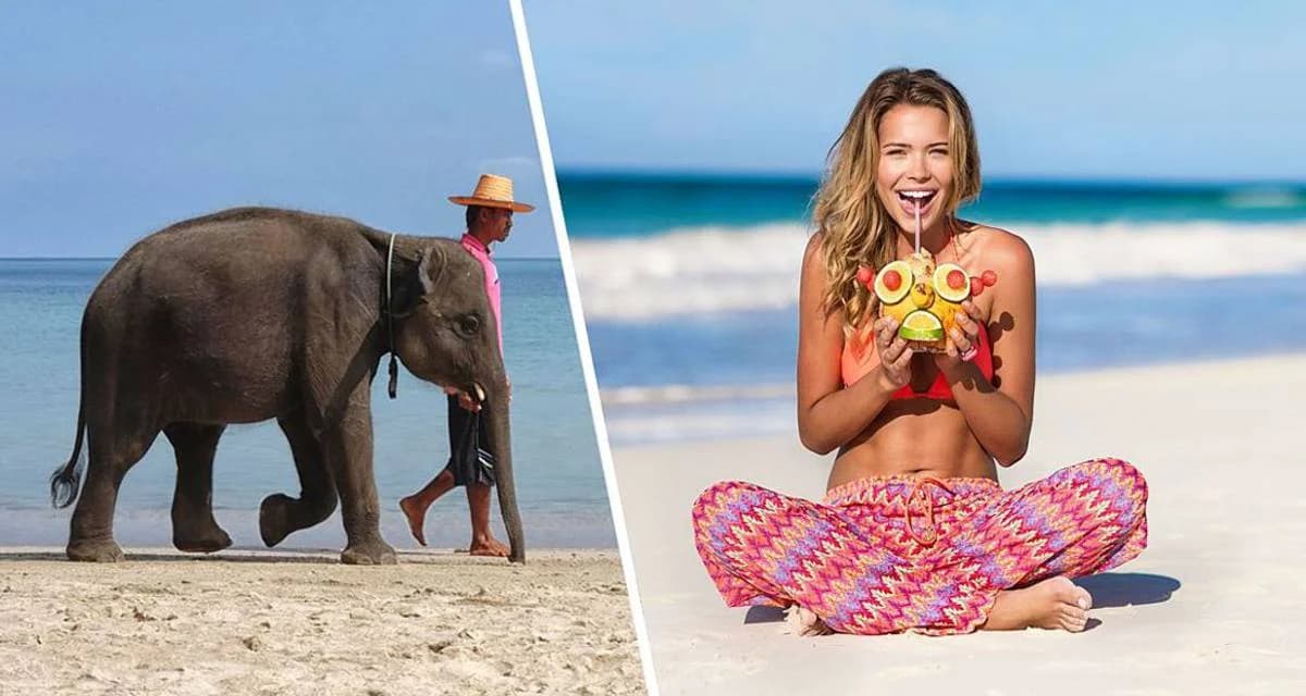 Прогулка по пляжам Гоа: Калангут – король пляжей ждет ваших открытий Прогулка по пляжам Гоа: Калангут – король пляжей ждет ваших открытий