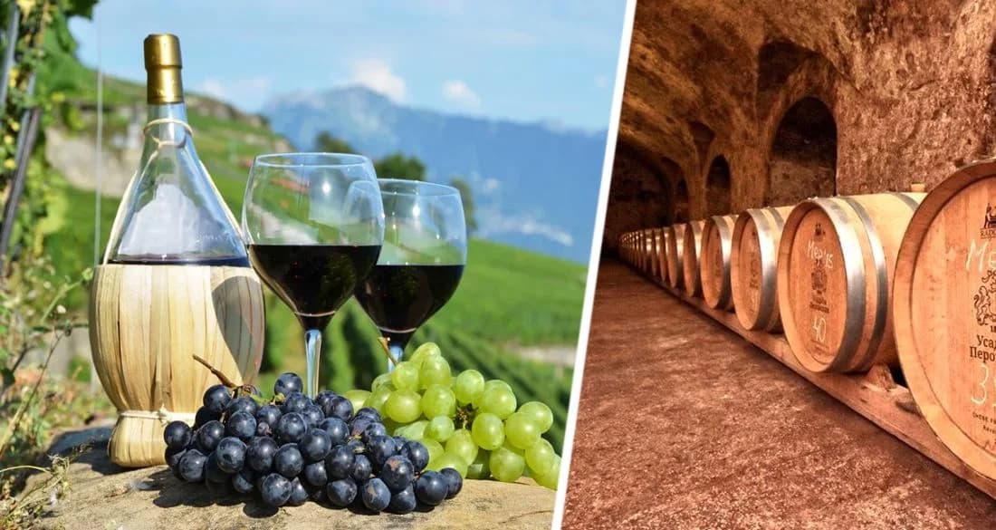 Винный бум: к 2030 году число виноделен с отелями в России взлетит в 3.5 раза Винный бум: к 2030 году число виноделен с отелями в России взлетит в 3.5 раза