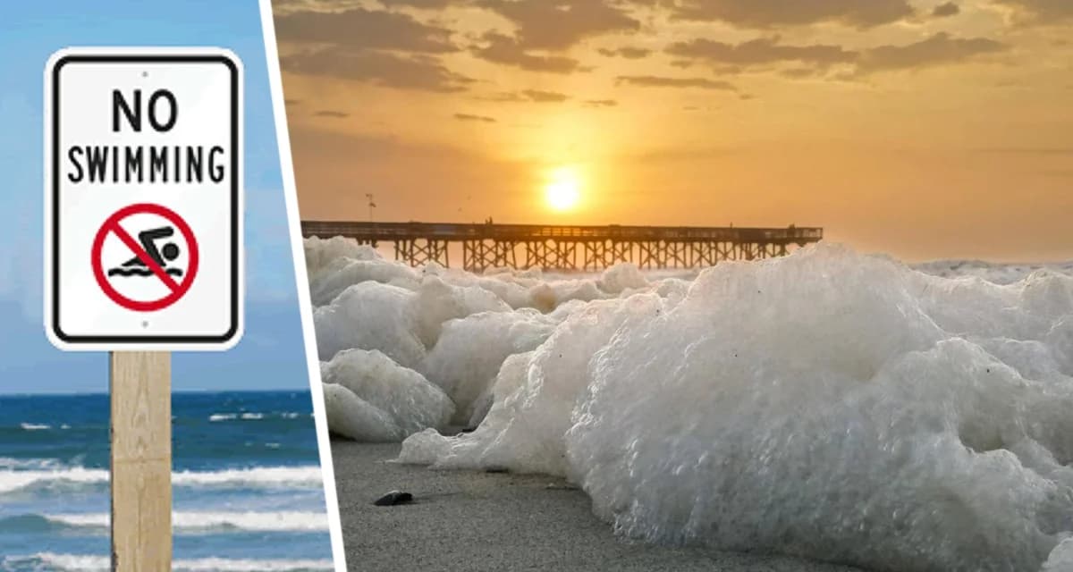 Шок и трепет туристов: таинственная пена заливает адриатические пляжи в Хорватии Шок и трепет туристов: таинственная пена заливает адриатические пляжи в Хорватии