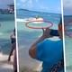 Акула-молот вызвала переполох на переполненном пляже: туристы вылетали из воды как пули