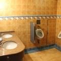 <p>Общественный туалет в главном холле на Costa Magica.</p>