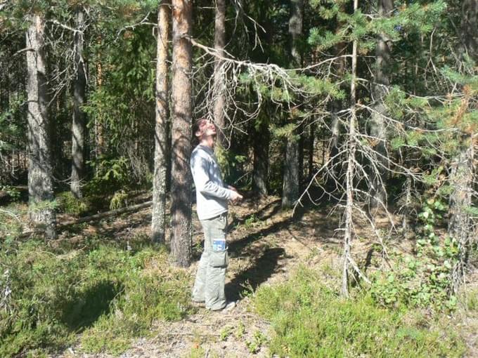 Россия - Так я ходил на знакомство с лесом