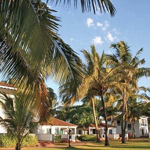  Отель Dona Sylvia Beach Resort (Гоа)