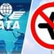 IATA: впервые авиакомпании мира получили двойной удар, это идеальный шторм - грядут банкротства