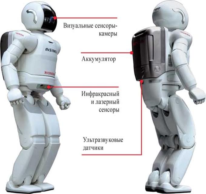 Соедини роботов с описаниями. Части робота. Строение робота. СИЗ чего состоит робот. Из чего состоит робот.