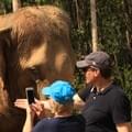 <p>В сафари парке можно пообщаться со слонами</p>
