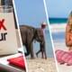 Anex сделал заявление по новым турам на популярный у россиян пляжный курорт